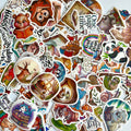 🦊 Holographic Woodland Reading Animals Stickers