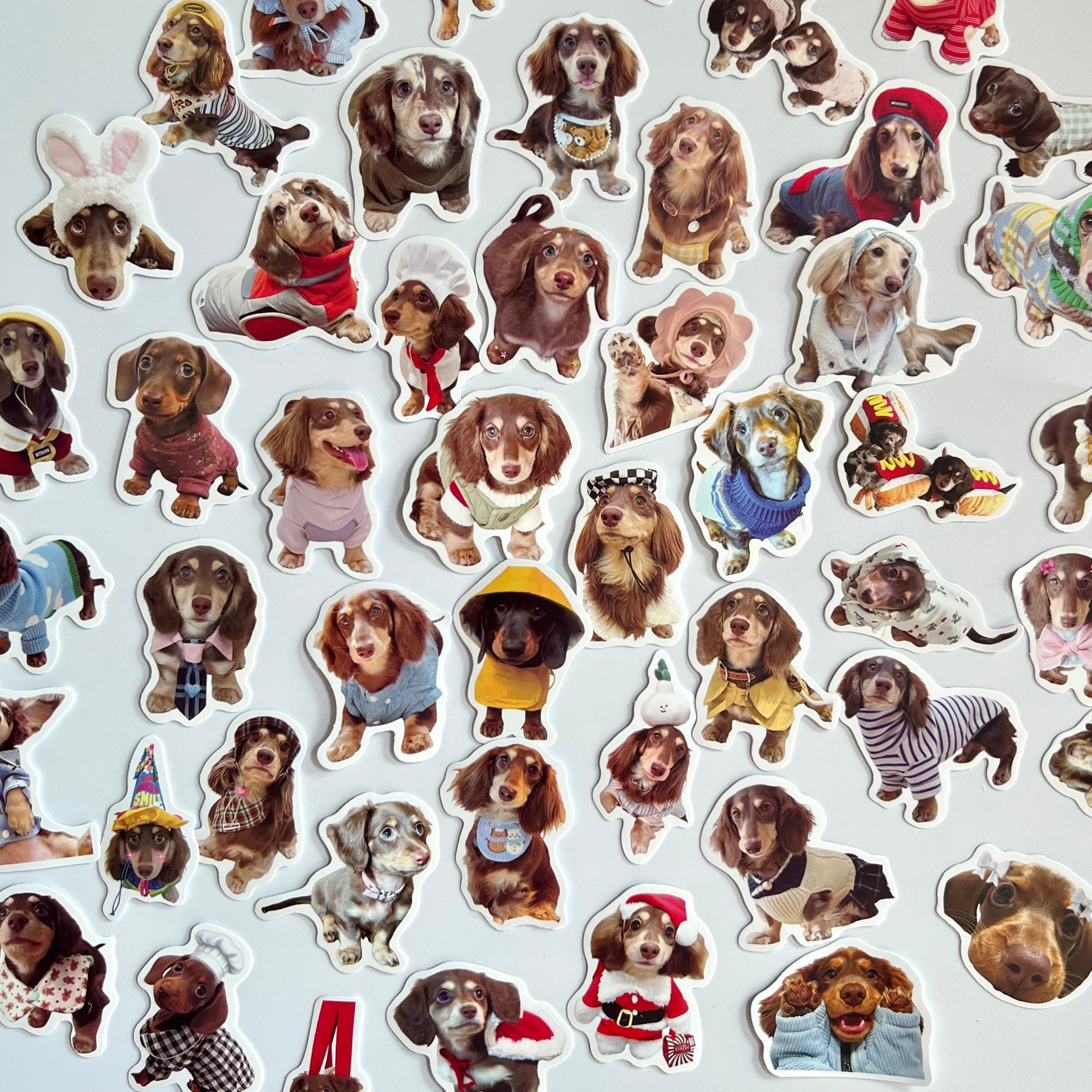 🐾 Cute Dachshund Stickers