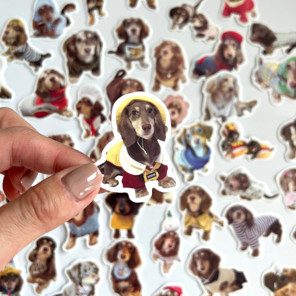 🐾 Cute Dachshund Stickers