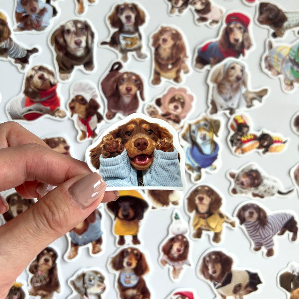 🐾 Cute Dachshund Stickers