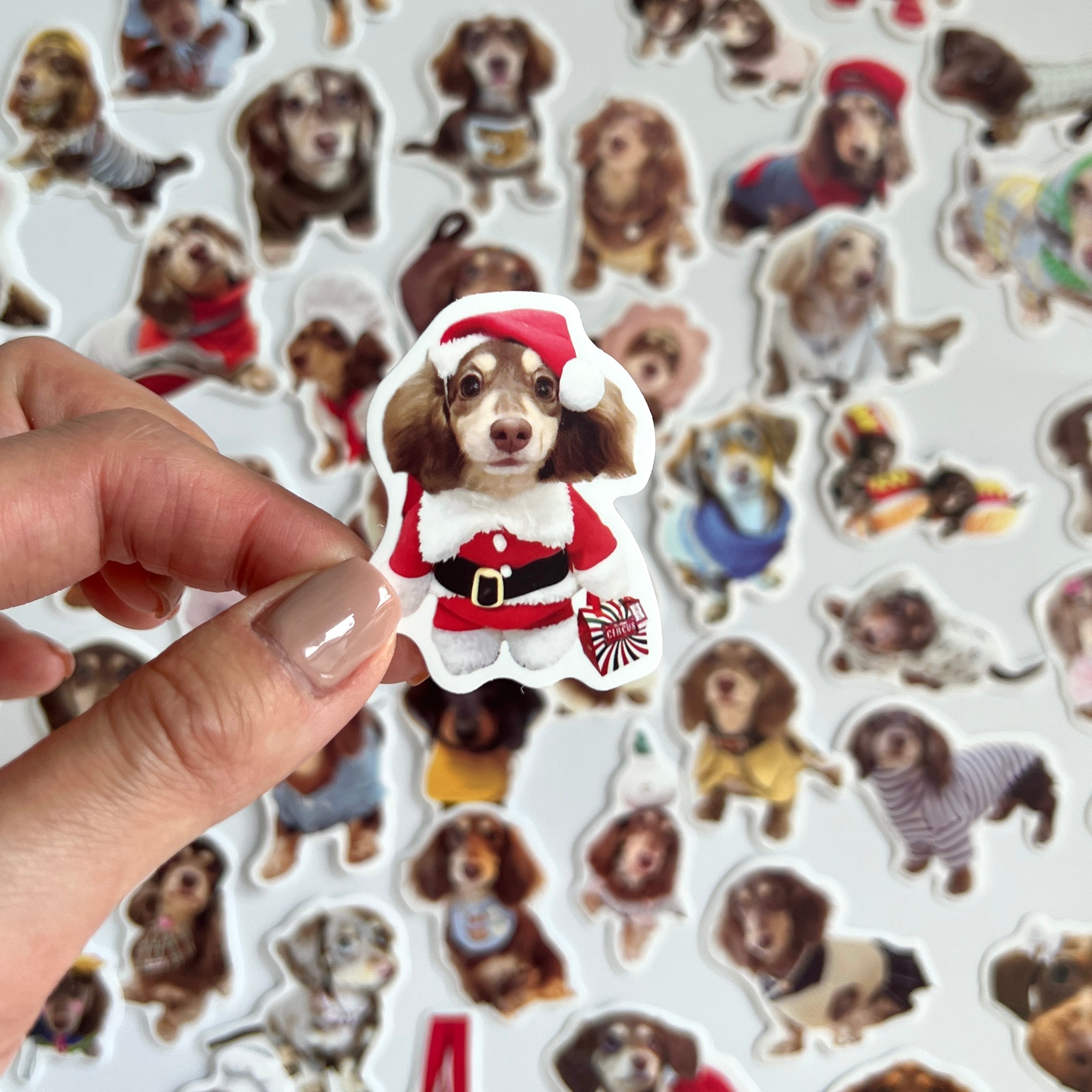 🐾 Cute Dachshund Stickers