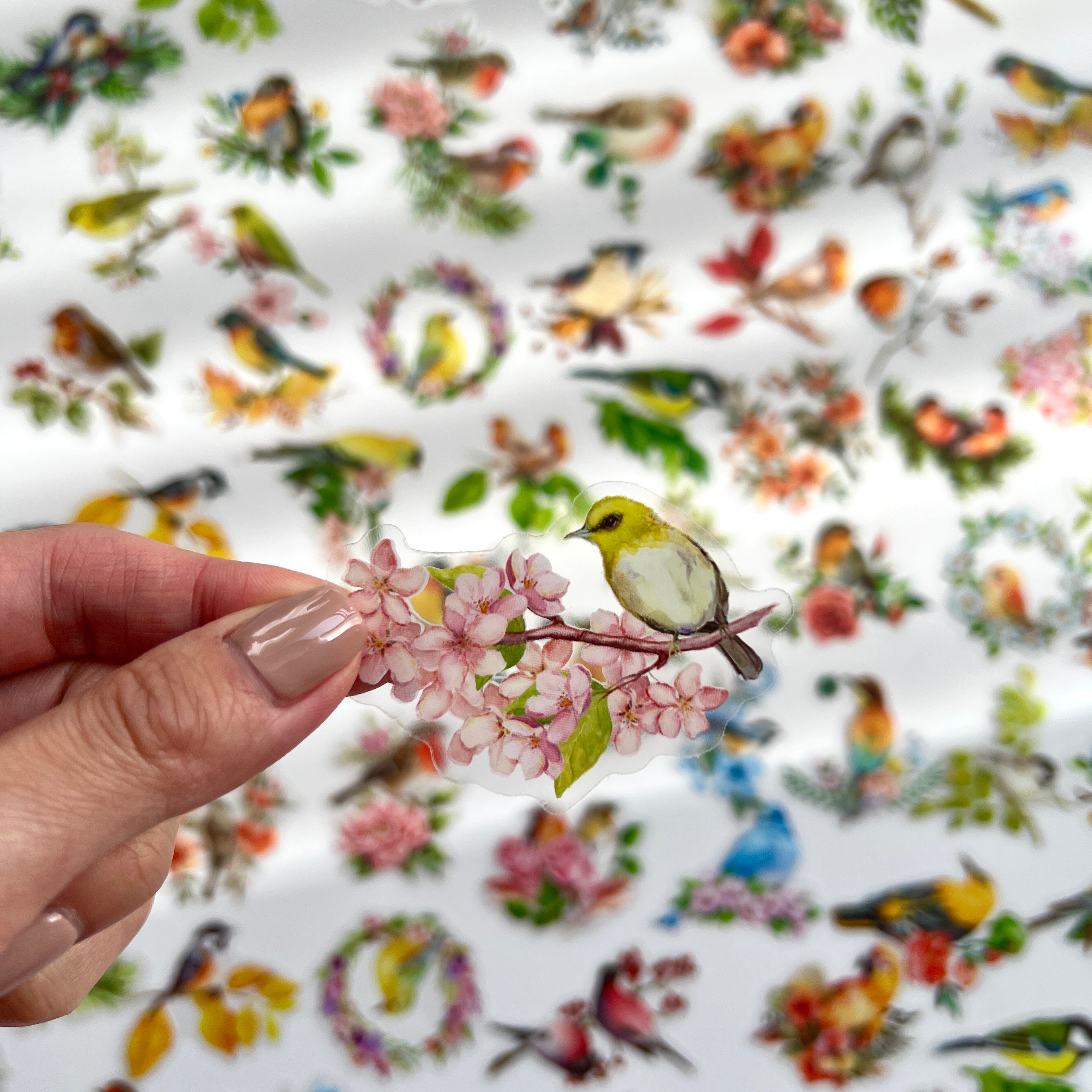 🌸 Birds & Flowers Garden Stickers