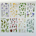🌿 Botanical Nature Sticker Sheets