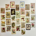 🌿 Vintage Botanical Postage Stamp Stickers