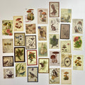 🍄 Vintage Forest Postage Stamp Stickers