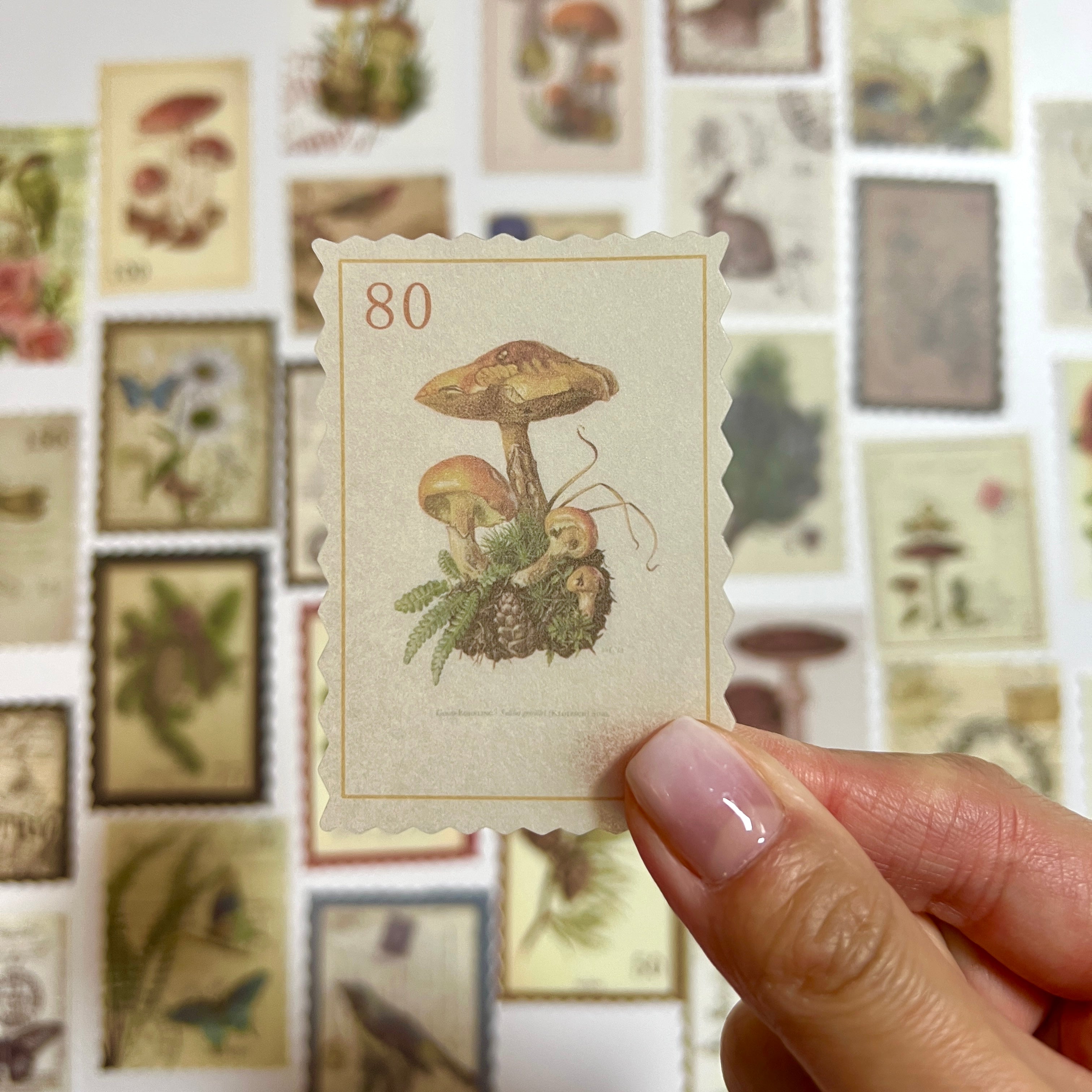 🍄 Vintage Forest Postage Stamp Stickers