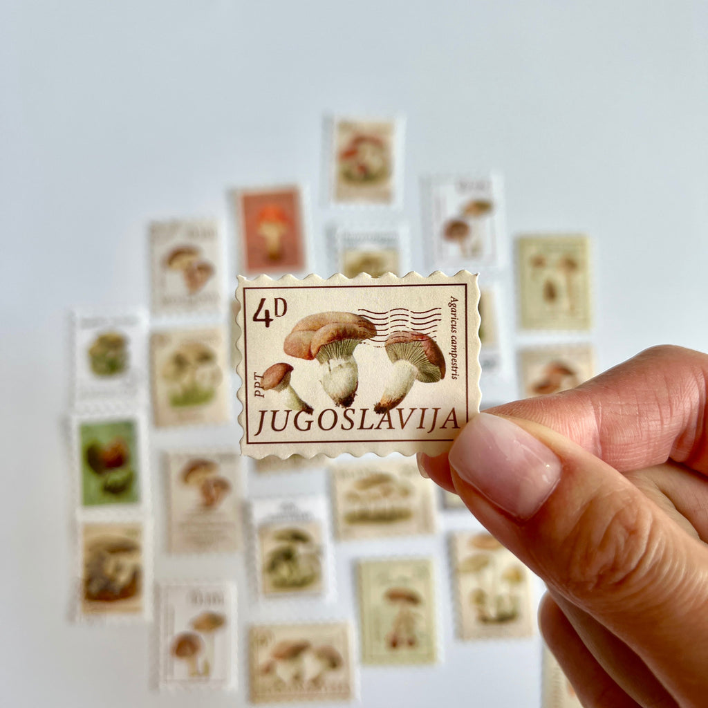 🍄 Vintage Mushroom Stamp Stickers Set (24 pcs)