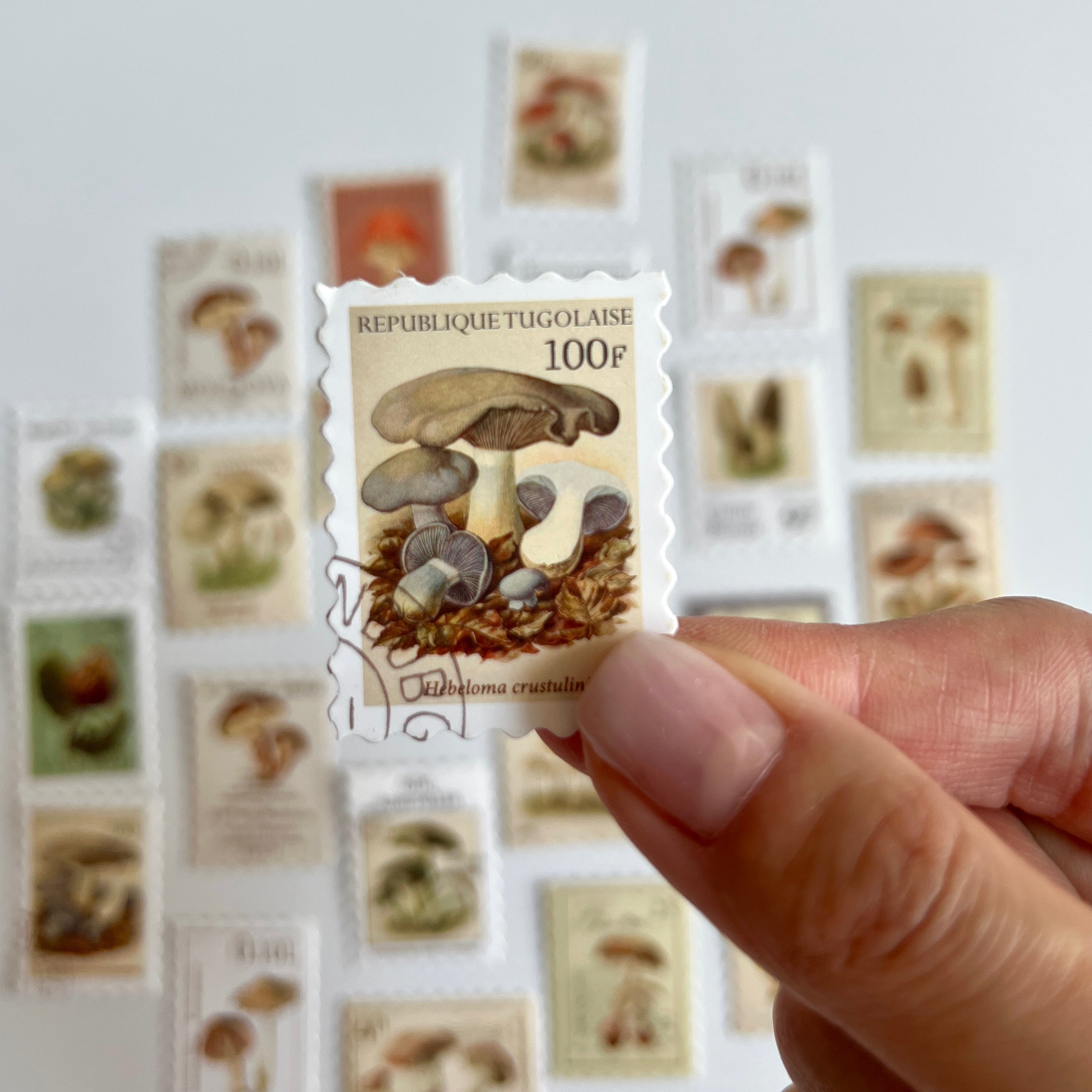 🍄 Vintage Mushroom Stamp Stickers Set (24 pcs)