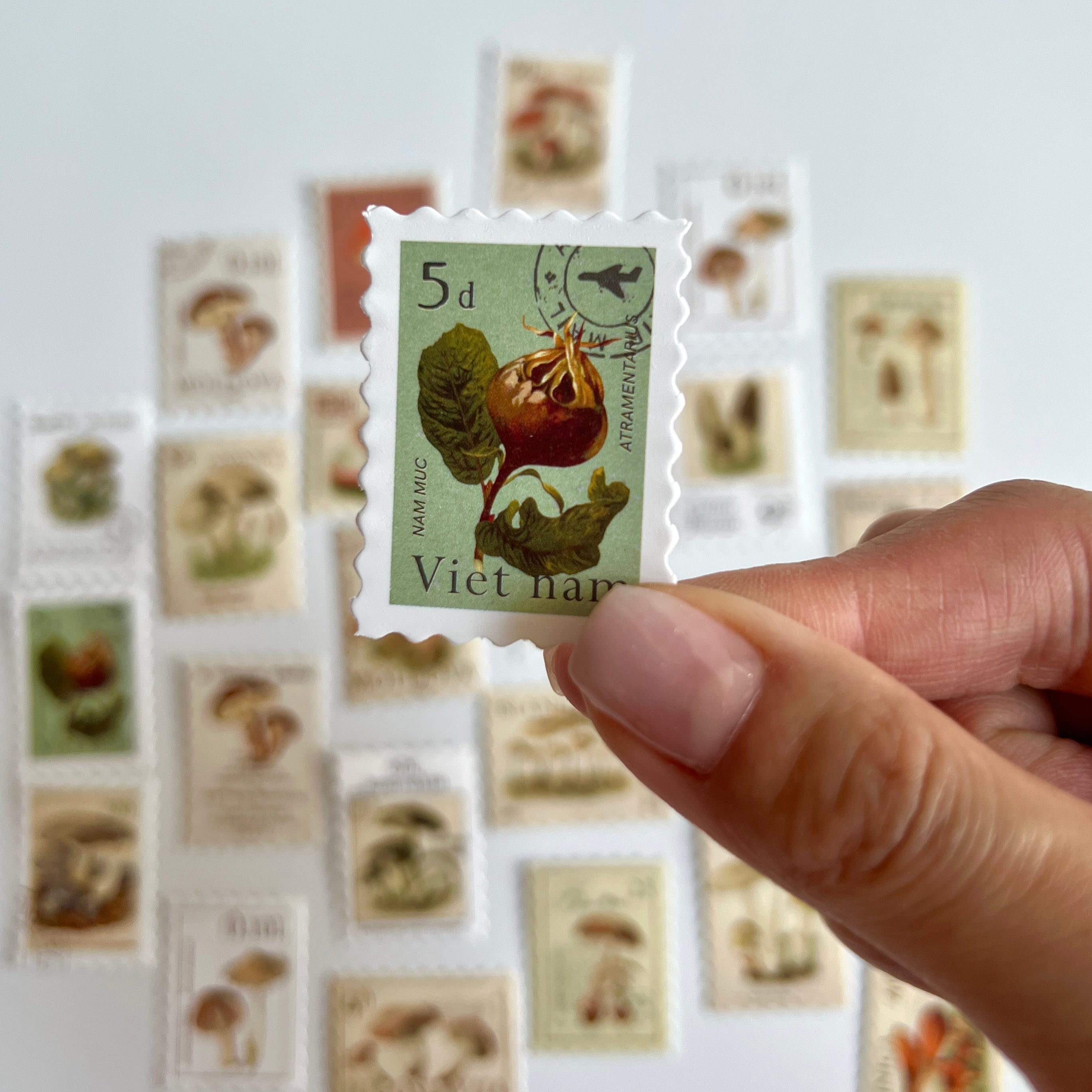 🍄 Vintage Mushroom Stamp Stickers Set (24 pcs)