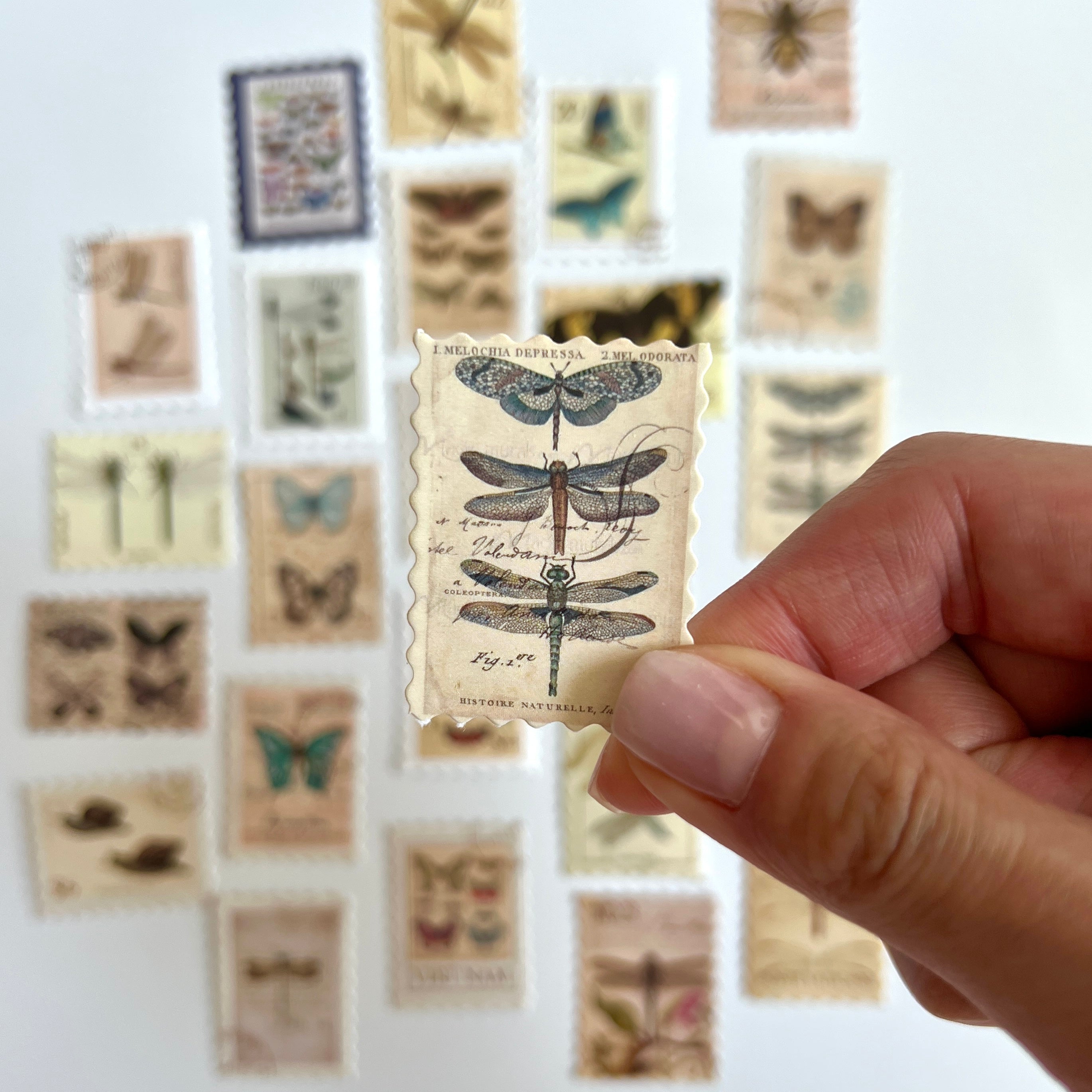 🦋 Vintage Insect Stamp Stickers (24 pcs)