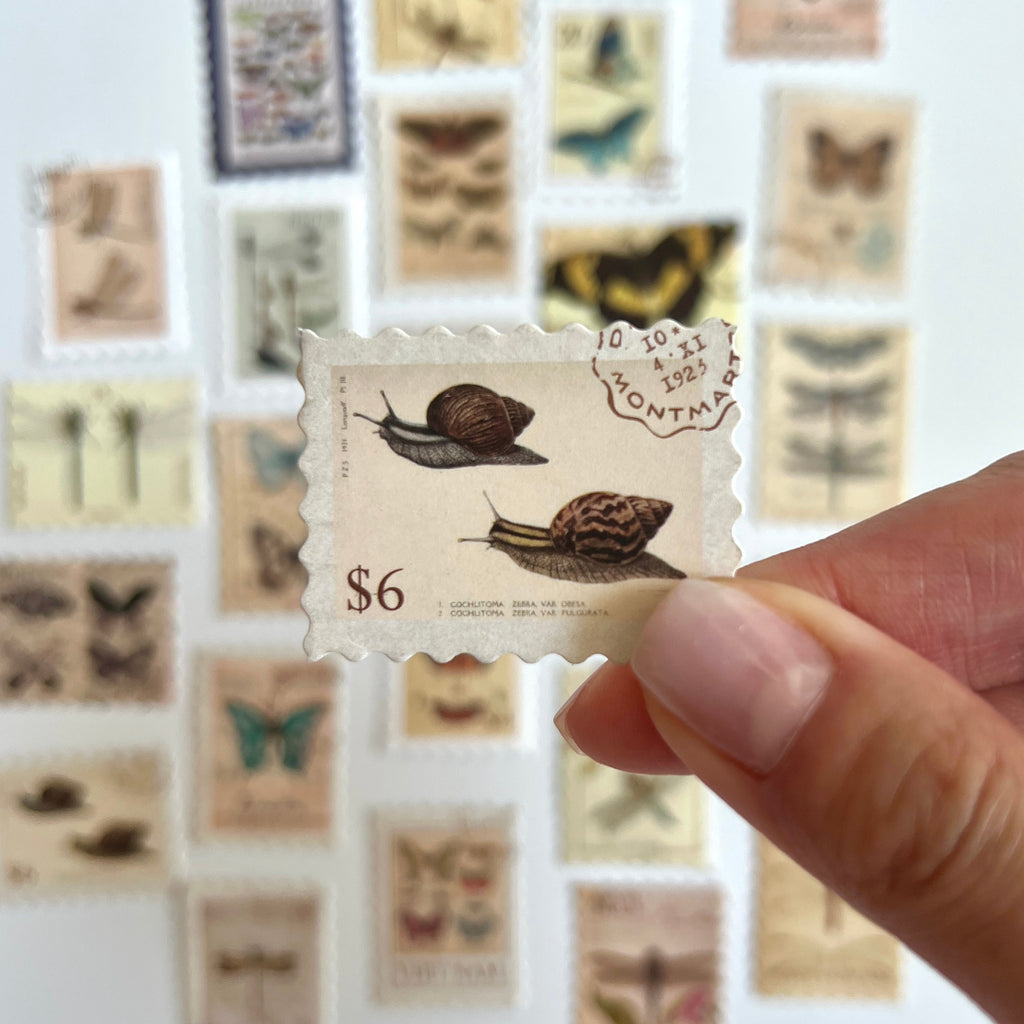 🦋 Vintage Insect Stamp Stickers (24 pcs)