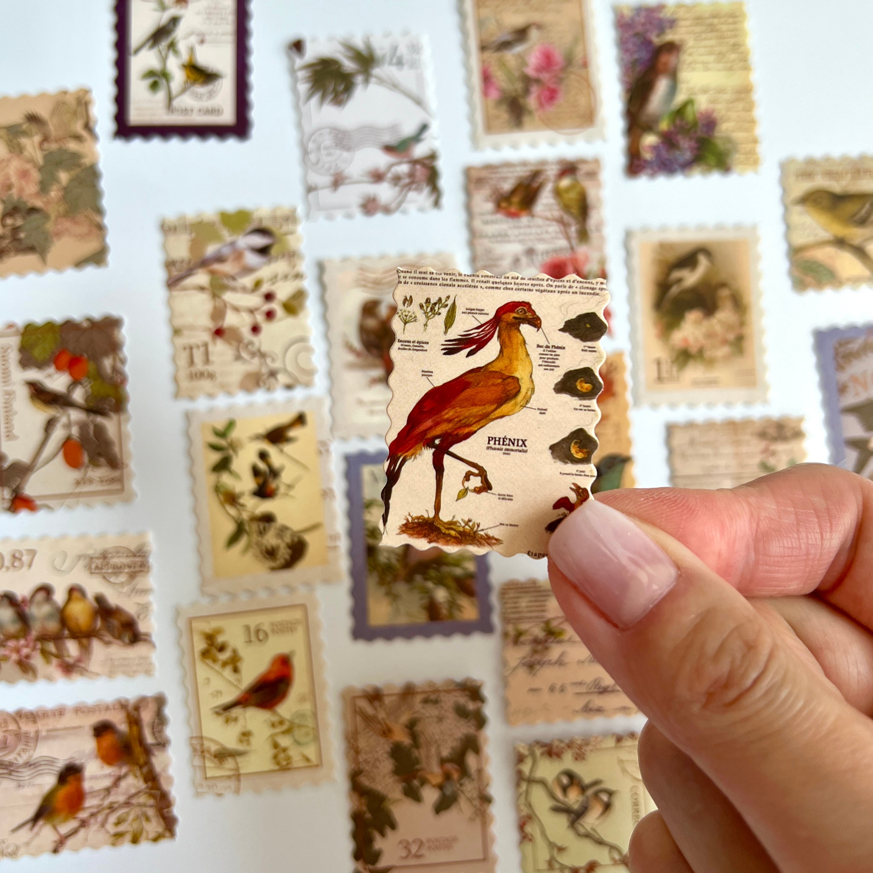 🐦 Vintage Bird Stamp Stickers (24 pcs)