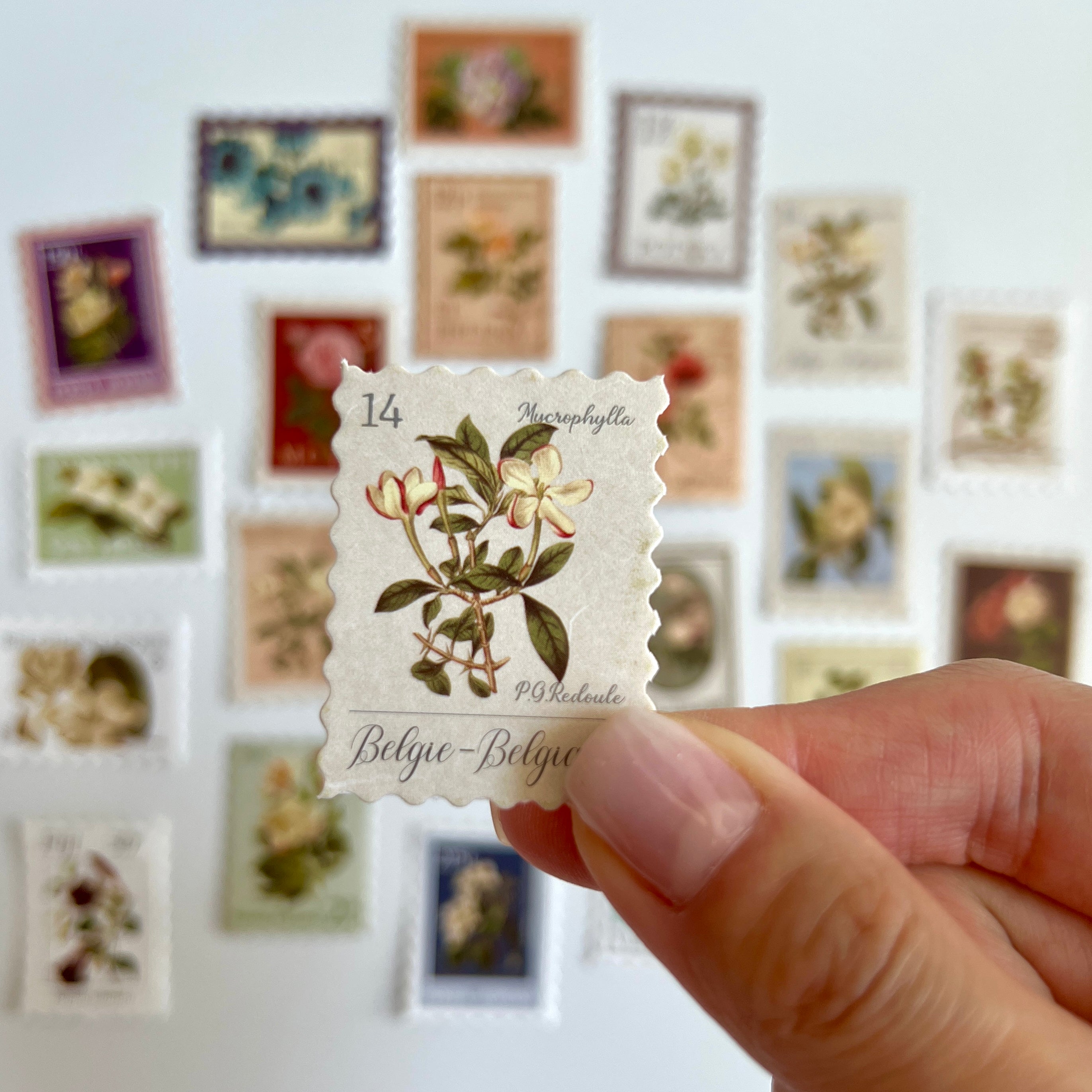 🌸 Vintage Floral Stamp Stickers (24 pcs)