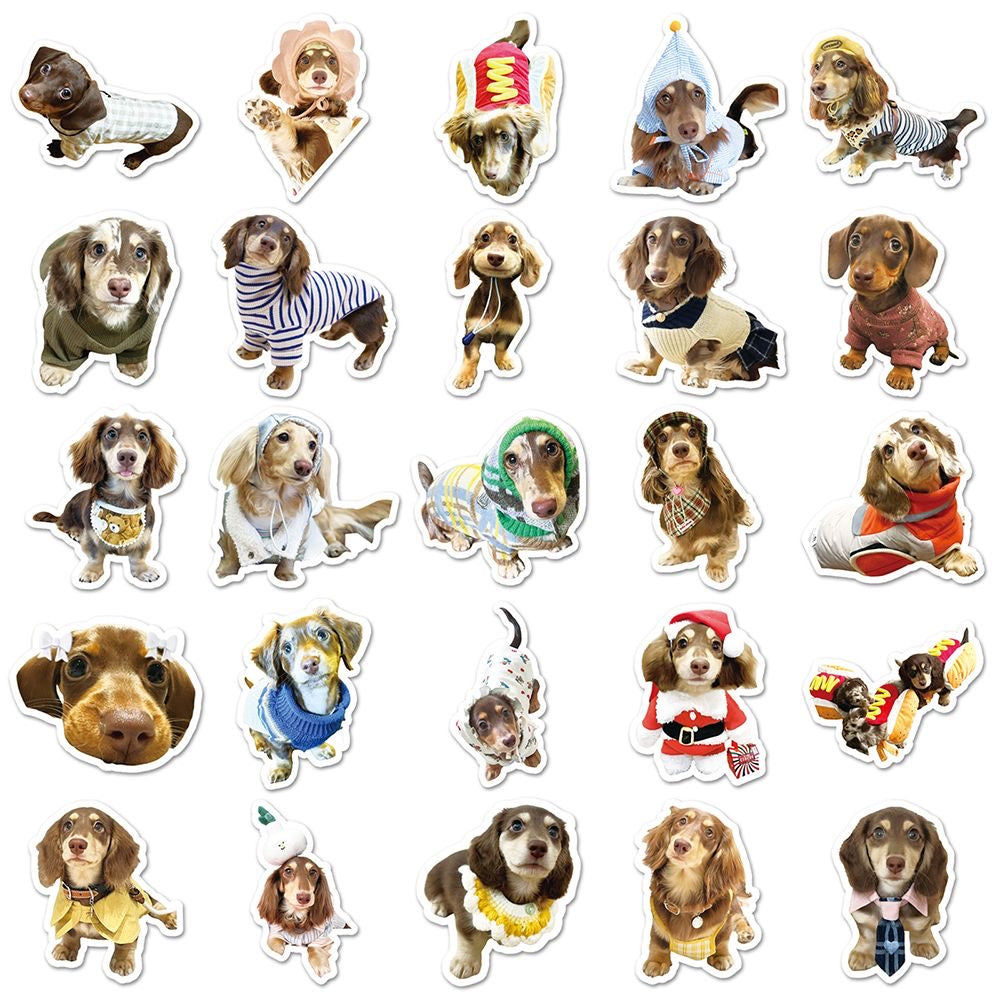 🐾 Cute Dachshund Stickers